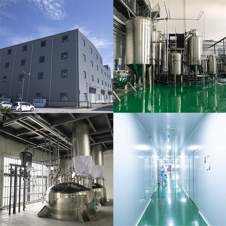 Black Rice Extract Anthocyanins suppliers