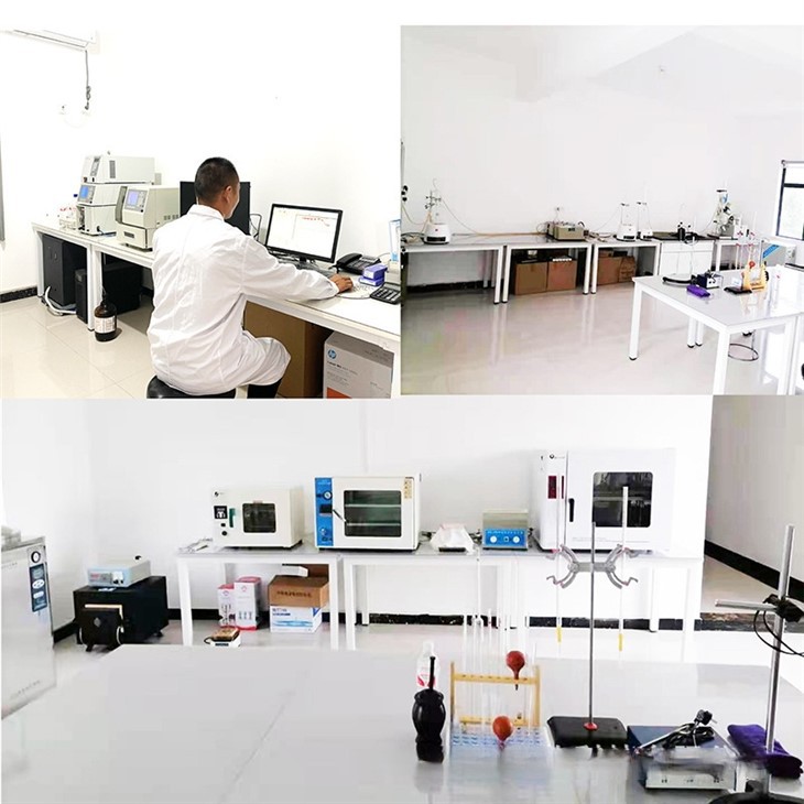 Cyanotis Arachnoidea high quality