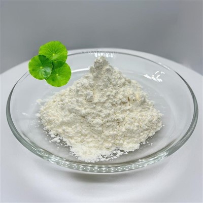 Cenella Asiatica Lalaki