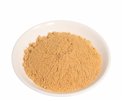 Organic Aprikot Krenel Powder